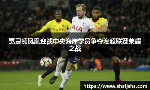 南宫NG28