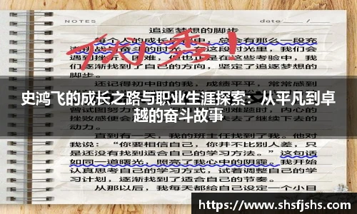 史鸿飞的成长之路与职业生涯探索：从平凡到卓越的奋斗故事